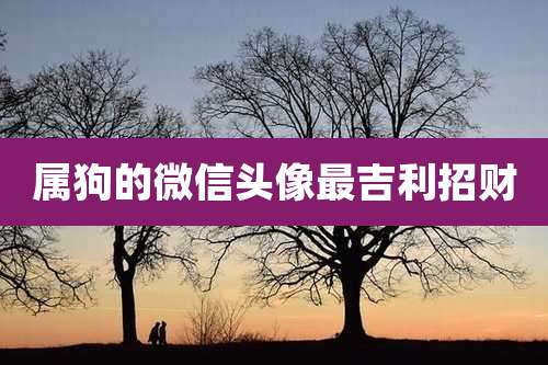 属狗的微信头像最吉利招财