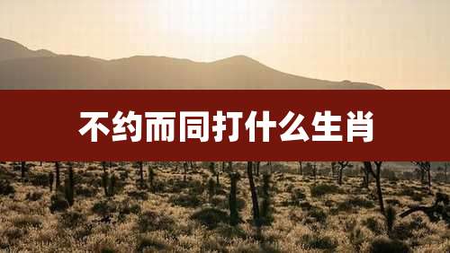 不约而同打什么生肖