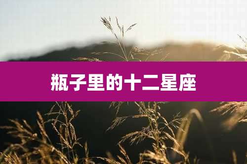 瓶子里的十二星座