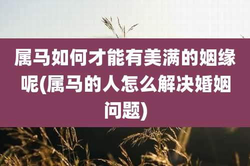 属马如何才能有美满的姻缘呢(属马的人怎么解决婚姻问题)