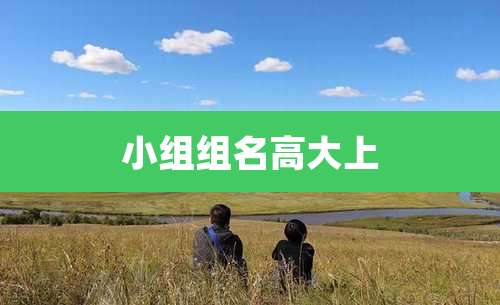 小组组名高大上