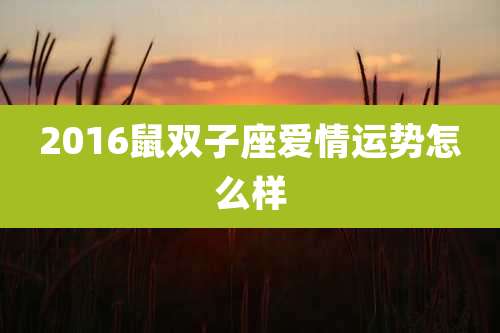 2016鼠双子座爱情运势怎么样