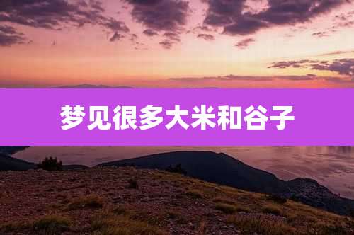 梦见很多大米和谷子