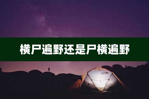 横尸遍野还是尸横遍野