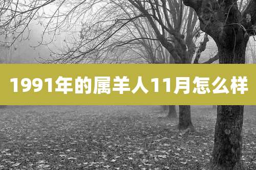 1991年的属羊人11月怎么样