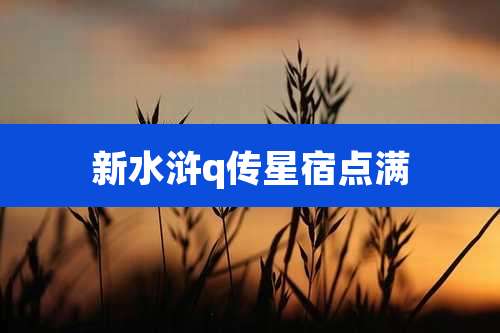新水浒q传星宿点满