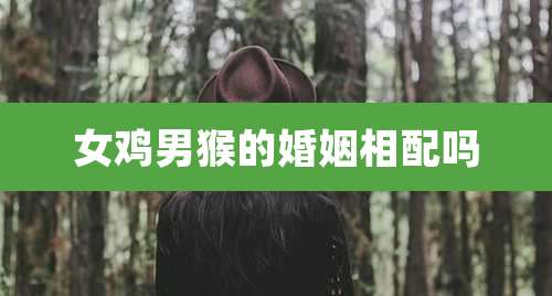 女鸡男猴的婚姻相配吗
