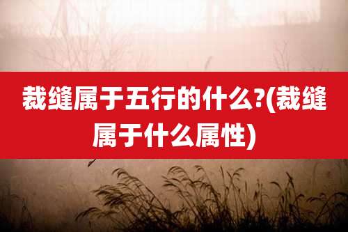 裁缝属于五行的什么?(裁缝属于什么属性)