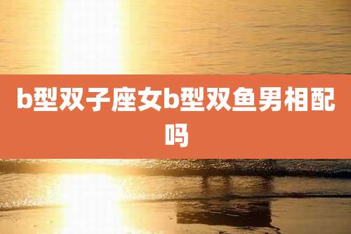 b型双子座女b型双鱼男相配吗