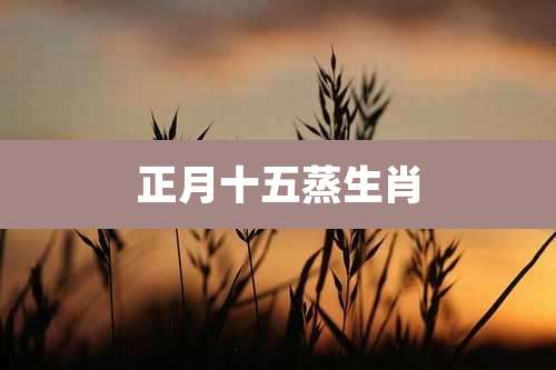 正月十五蒸生肖