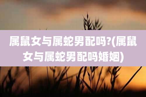 属鼠女与属蛇男配吗?(属鼠女与属蛇男配吗婚姻)