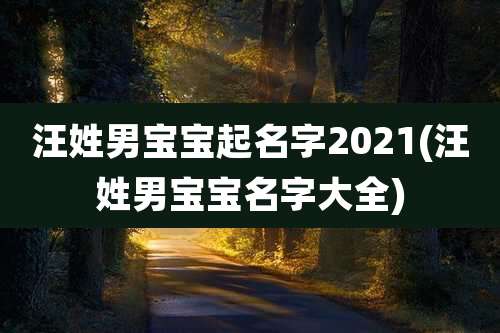 汪姓男宝宝起名字2021(汪姓男宝宝名字大全)
