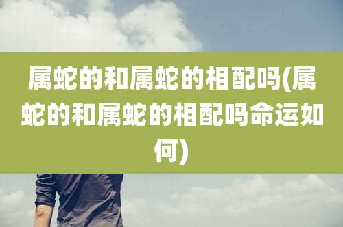 属蛇的和属蛇的相配吗(属蛇的和属蛇的相配吗命运如何)
