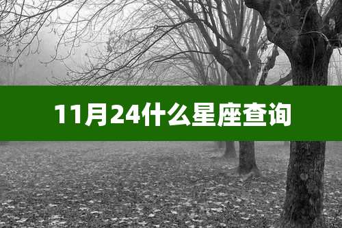 11月24什么星座查询