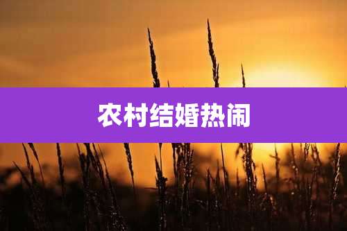 农村结婚热闹