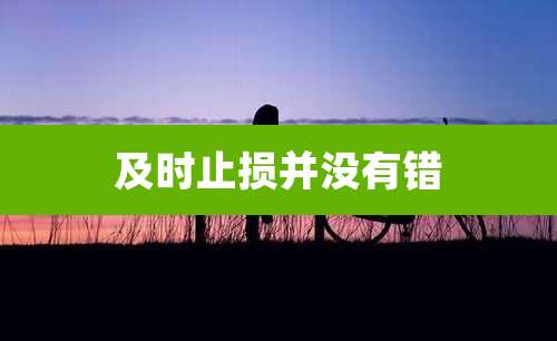 及时止损并没有错