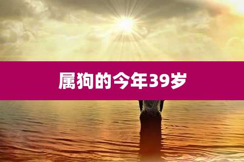 属狗的今年39岁