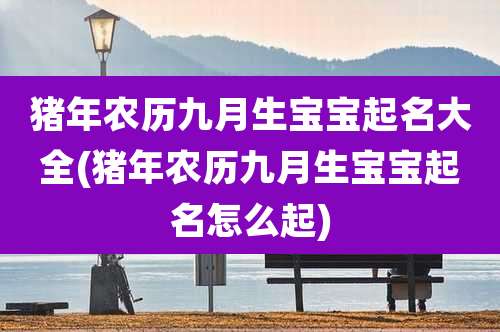 猪年农历九月生宝宝起名大全(猪年农历九月生宝宝起名怎么起)