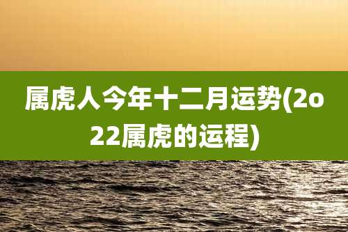 属虎人今年十二月运势(2o22属虎的运程)