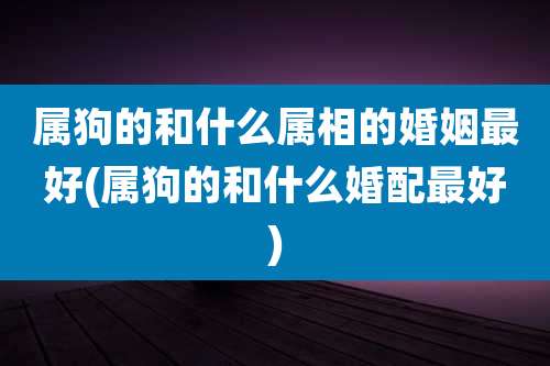 属狗的和什么属相的婚姻最好(属狗的和什么婚配最好)