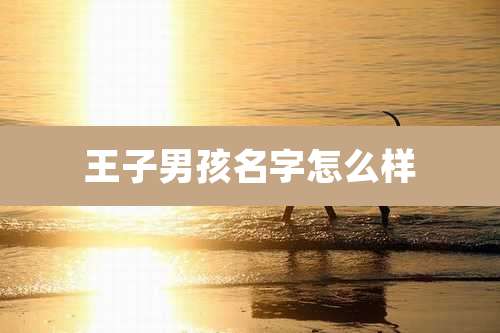 王子男孩名字怎么样