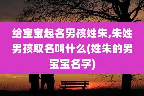 给宝宝起名男孩姓朱,朱姓男孩取名叫什么(姓朱的男宝宝名字)