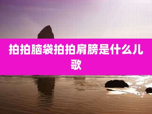 拍拍脑袋拍拍肩膀是什么儿歌