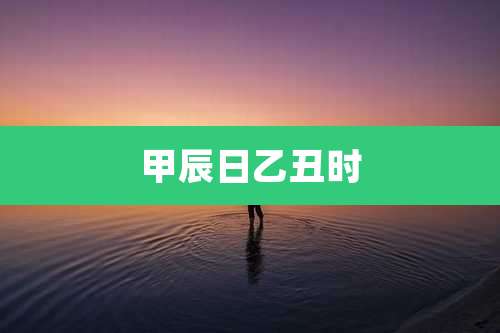 甲辰日乙丑时