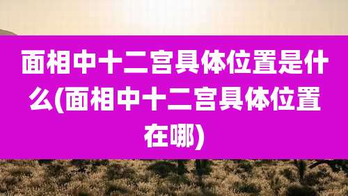 面相中十二宫具***置是什么(面相中十二宫具***置在哪)