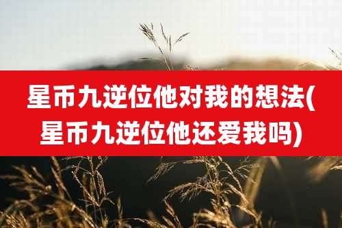 星币九逆位他对我的想法(星币九逆位他还爱我吗)