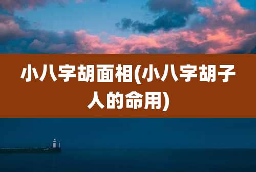 小八字胡面相(小八字胡子人的命用)