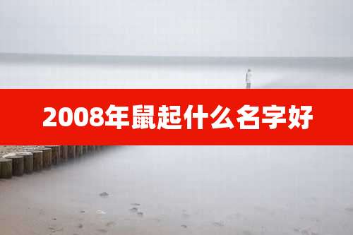 2008年鼠起什么名字好