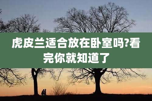 虎皮兰适合放在卧室吗?看完你就知道了