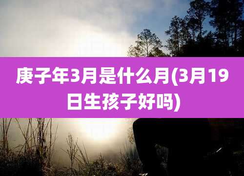 庚子年3月是什么月(3月19日生孩子好吗)