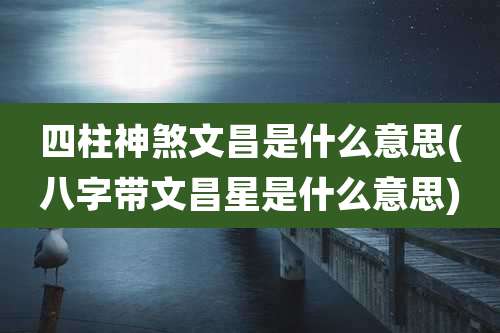 四柱神煞文昌是什么意思(八字带文昌星是什么意思)