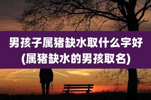 男孩子属猪缺水取什么字好(属猪缺水的男孩取名)