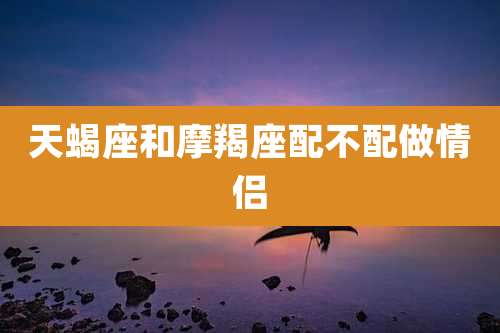 天蝎座和摩羯座配不配做情侣