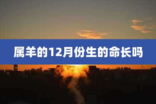 属羊的12月份生的命长吗