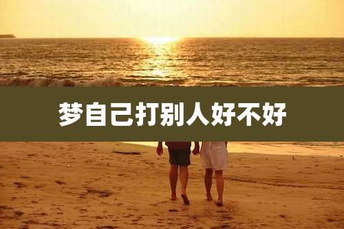 梦自己打别人好不好