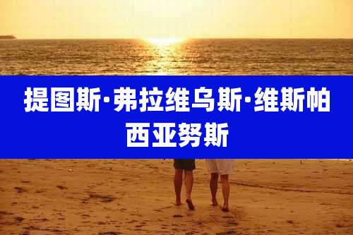 提图斯·弗拉维乌斯·维斯帕西亚努斯