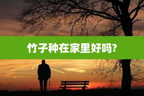 竹子种在家里好吗?