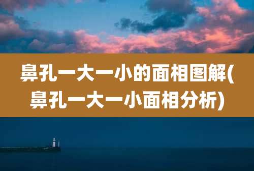 鼻孔一大一小的面相图解(鼻孔一大一小面相分析)