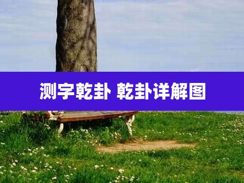 测字乾卦 乾卦详解图