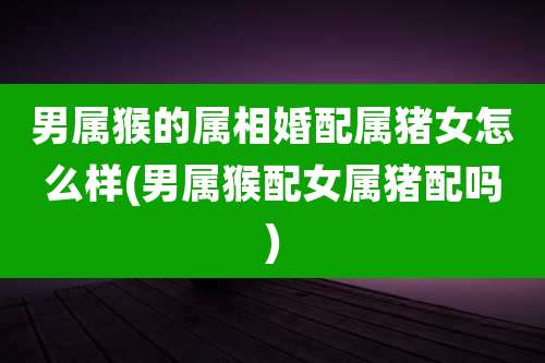 男属猴的属相婚配属猪女怎么样(男属猴配女属猪配吗)