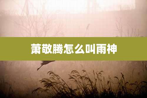 萧敬腾怎么叫雨神