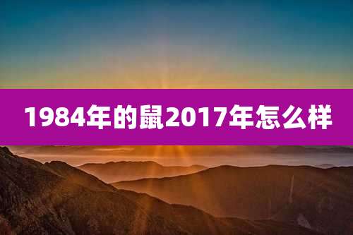 1984年的鼠2017年怎么样