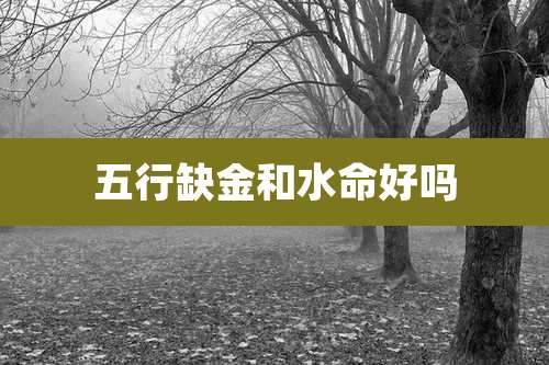 五行缺金和水命好吗