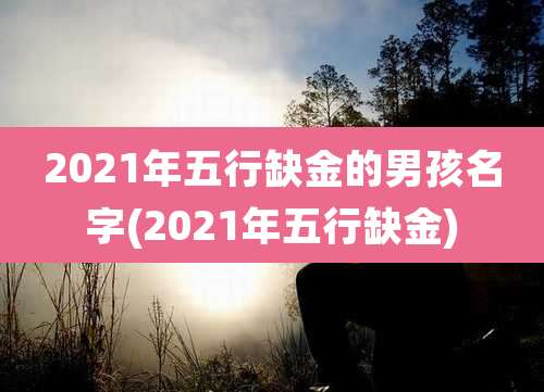 2021年五行缺金的男孩名字(2021年五行缺金)