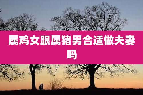 属鸡女跟属猪男合适做夫妻吗
