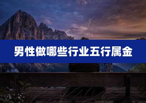男性做哪些行业五行属金